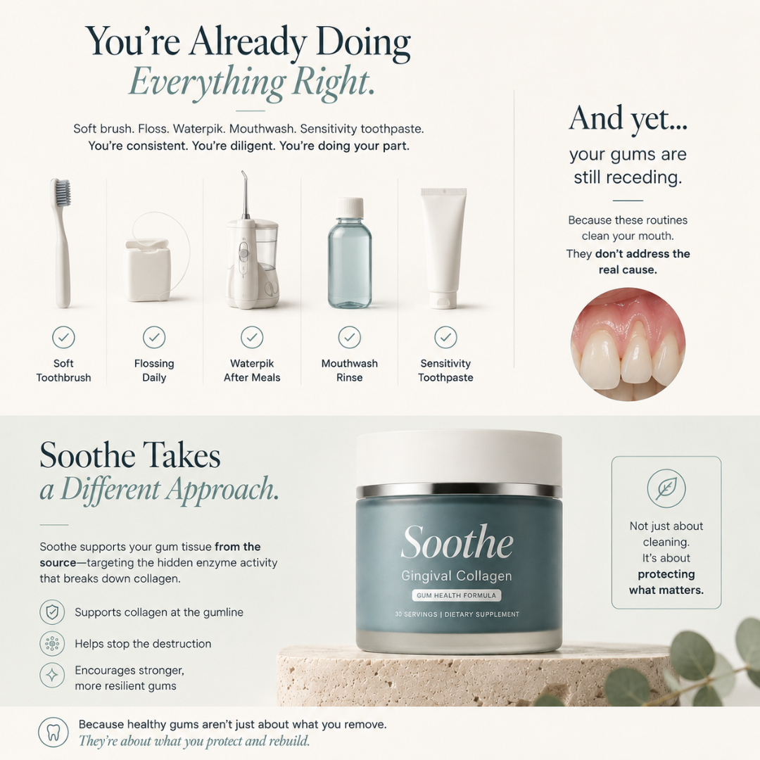 Soothe Gingival Maritime Collagen - Receding Gums & Tissue Regeneration